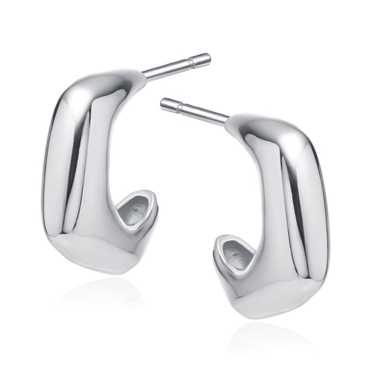 Silver Earrings Z2055ER