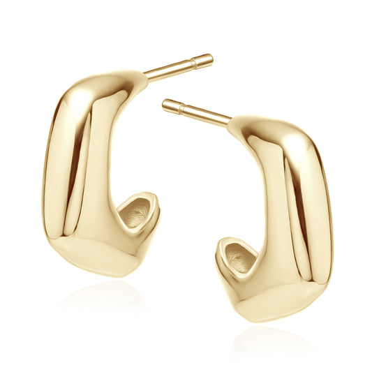 Gold-plated, Silver Earrings Z2055EG